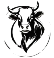logo2-oPm-_5IDw-transformed logo2-oPm-_5IDw-transformed